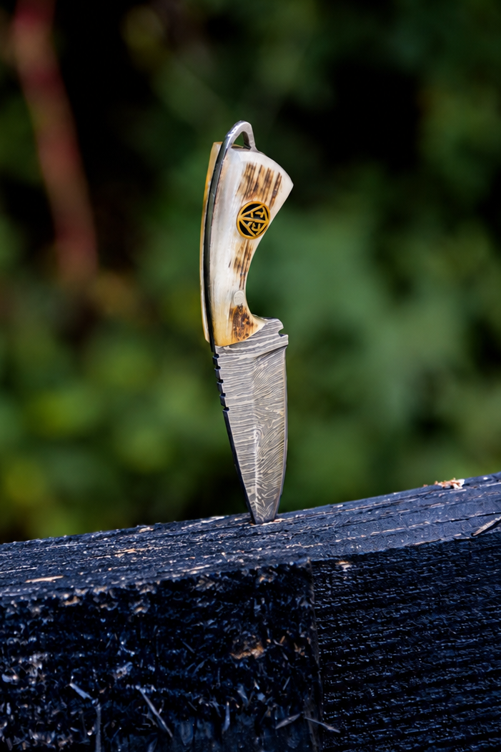 The Scout