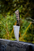 The Apex - RAM HORN  (ONE OF ONE)